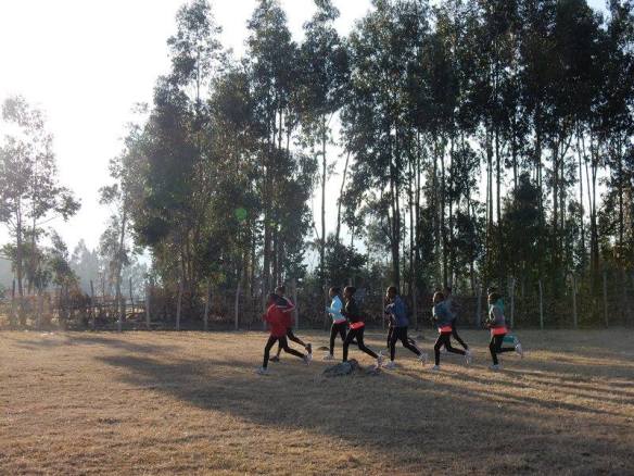 12963680_968634703214859_341742077116957427_n